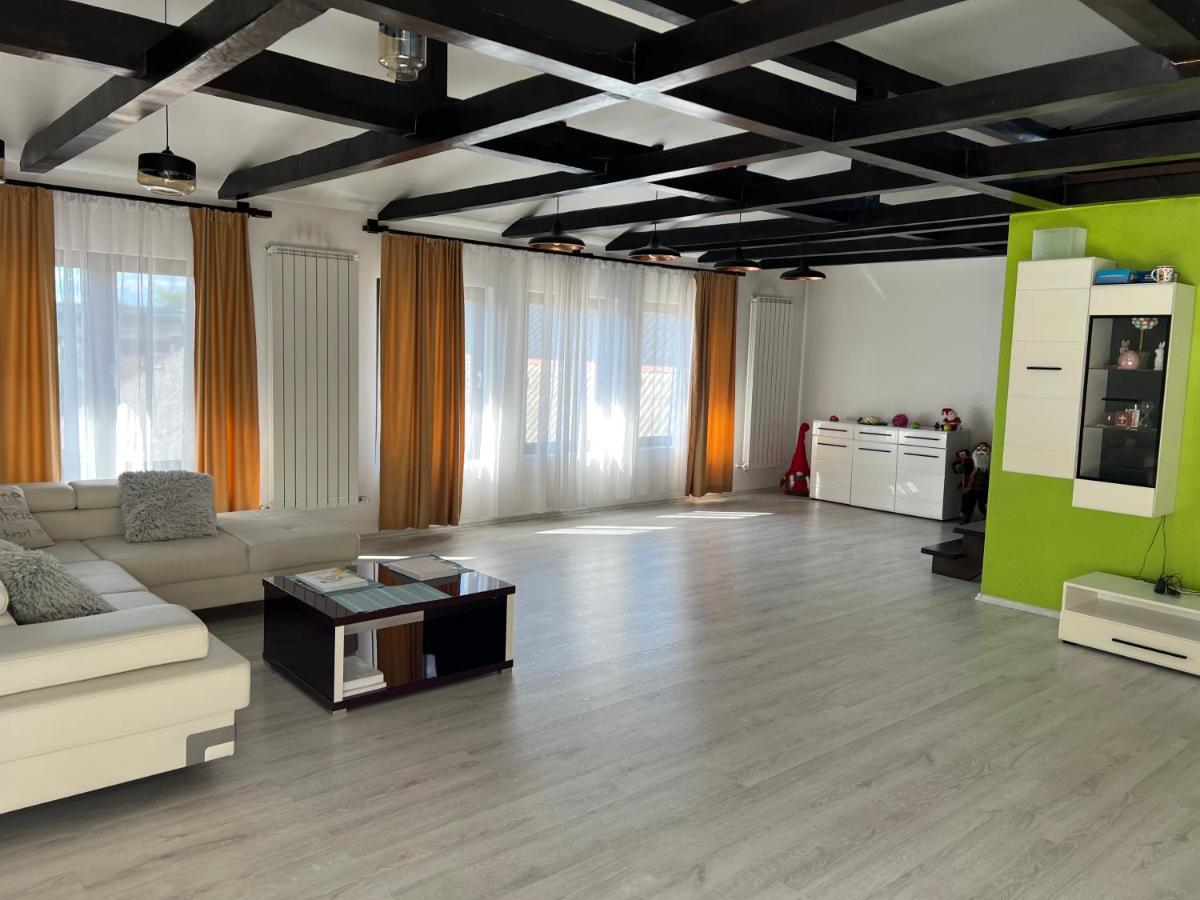 Casa Rafael Hotel Sighetu Marmaţiei Eksteriør billede