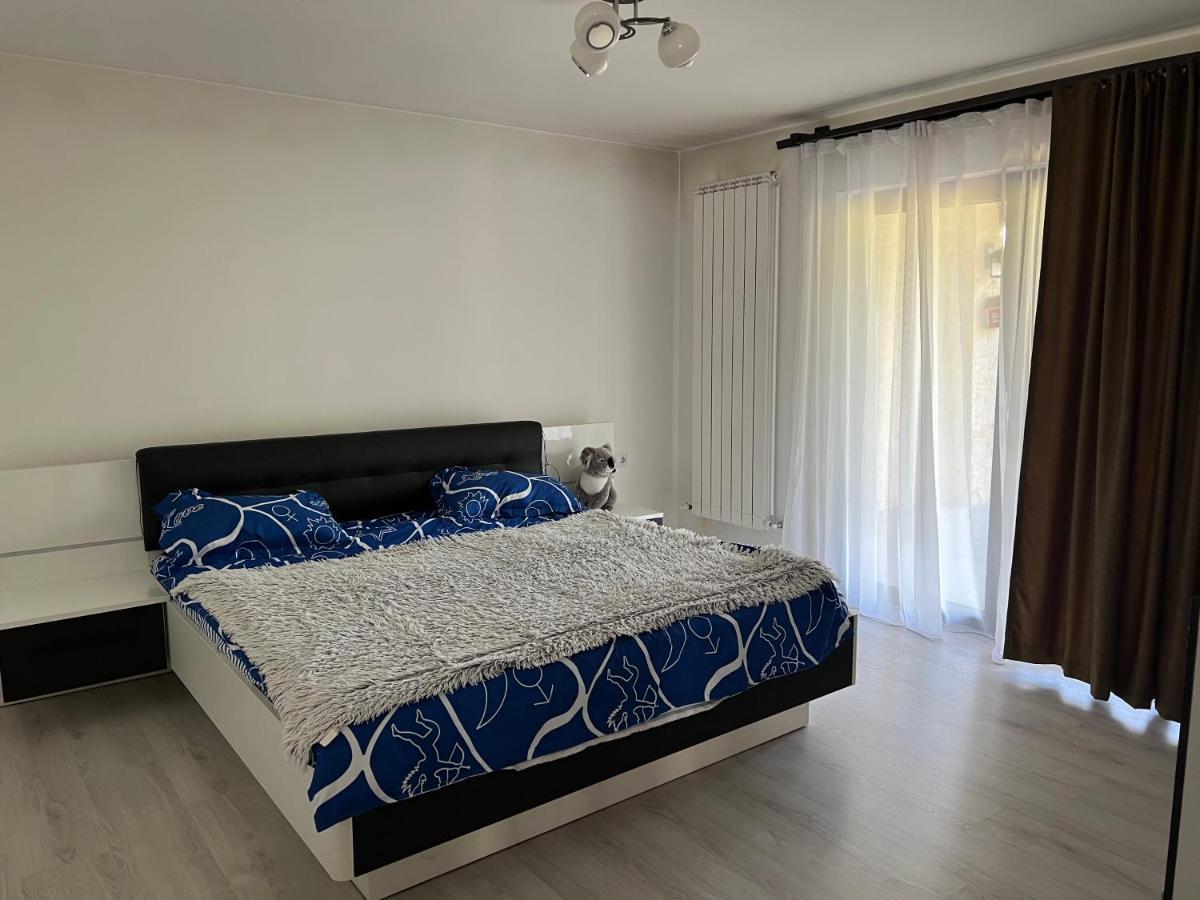 Casa Rafael Hotel Sighetu Marmaţiei Eksteriør billede