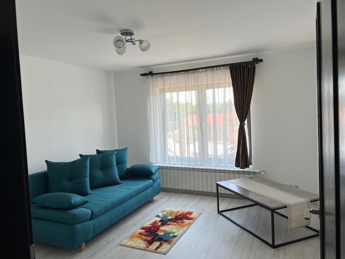 Casa Rafael Hotel Sighetu Marmaţiei Eksteriør billede